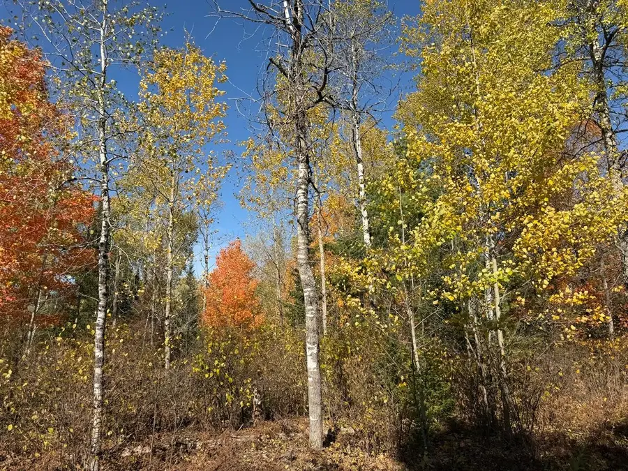 LOT 4 Cth J, Mercer, WI 54547 - #2