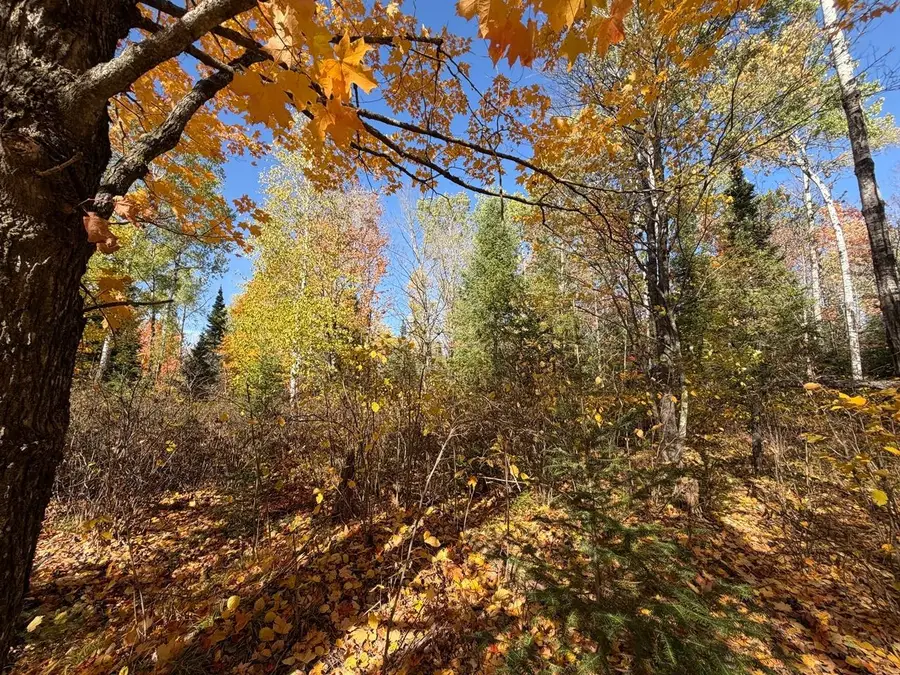 LOT 4 Cth J, Mercer, WI 54547 - #3