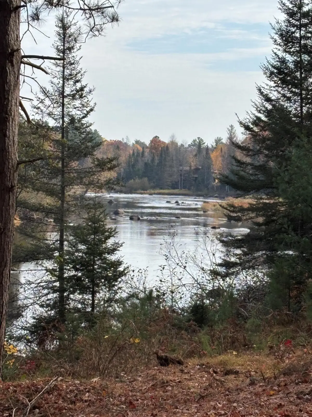 ON River Rd #8, Eagle River, WI 54521 - #1