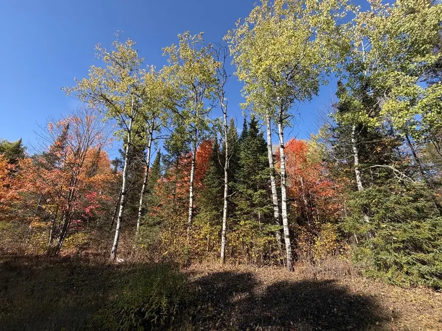 LOT 5 Cth J, Mercer, WI 54547 - #2