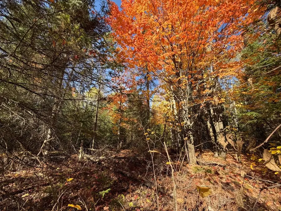 LOT 5 Cth J, Mercer, WI 54547 - #3