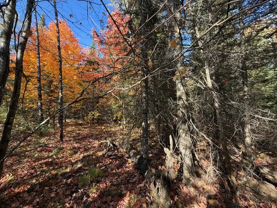 LOT 6 Cth J, Mercer, WI 54547 - #2