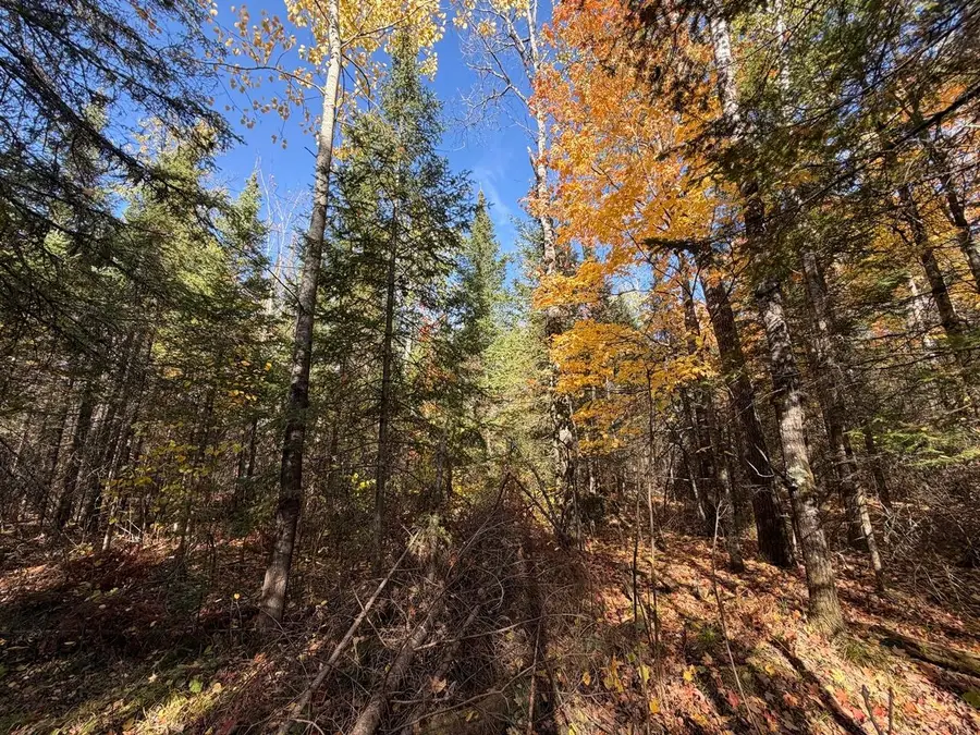 LOT 6 Cth J, Mercer, WI 54547 - #3