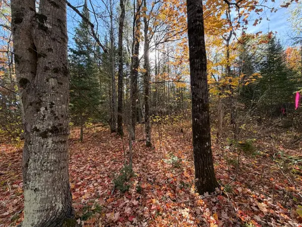 LOT 7 Long Rd, Mercer, WI 54547