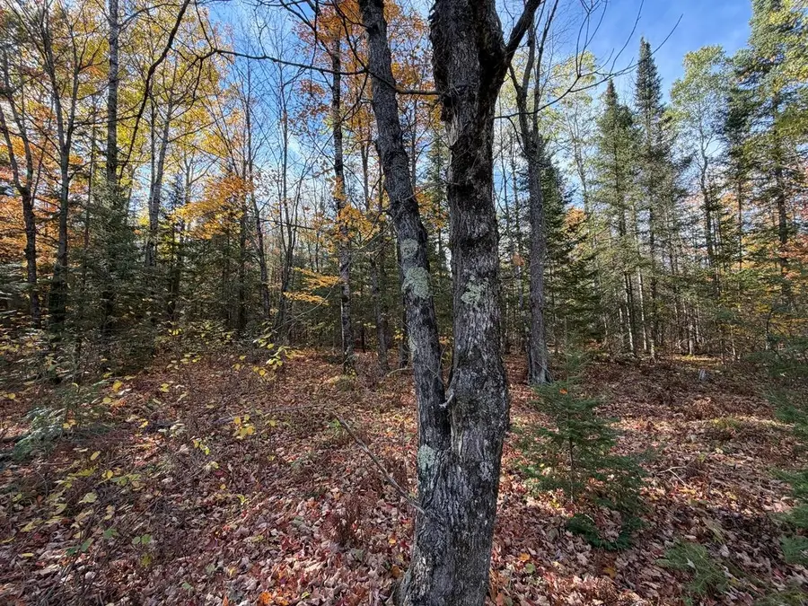 LOT 7 Long Rd, Mercer, WI 54547 - #2