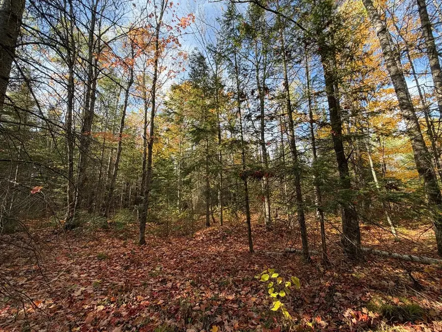 LOT 7 Long Rd, Mercer, WI 54547 - #3