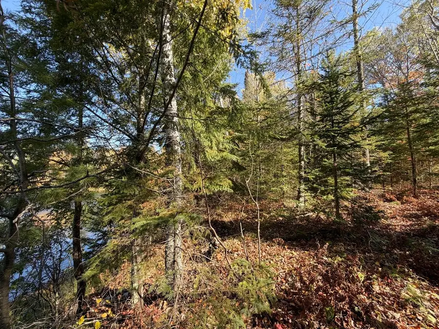 LOT 2 Long Rd, Mercer, WI 54547 - #3