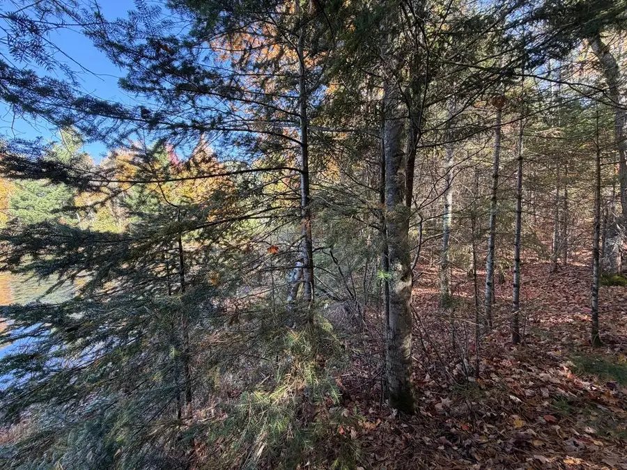 LOT 1 Long Rd, Mercer, WI 54547 - #3