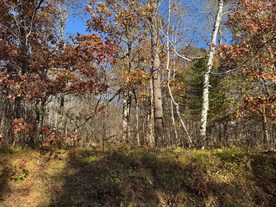 Off Lake Nokomis Rd, Tomahawk, WI 54487 - #3