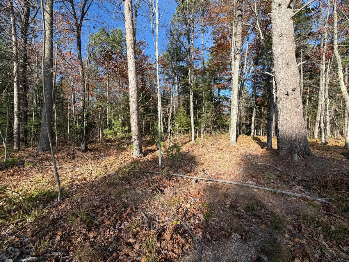 1.51 ac Madeline Ln, Eagle River, WI 54521 - #1