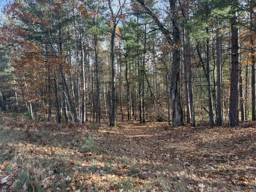 1.61 ac Madeline Ln, Eagle River, WI 54521 - #3