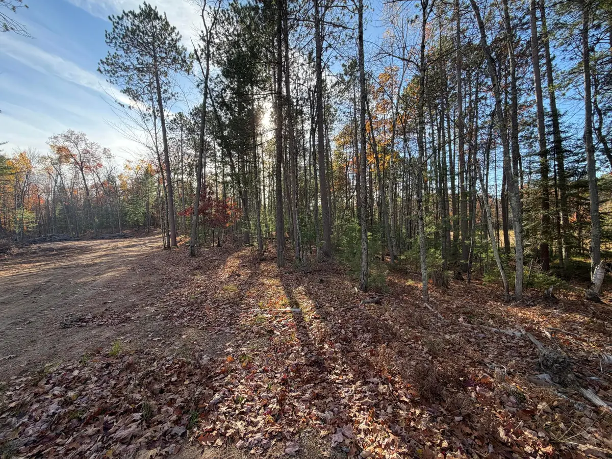 1.58 ac Madeline Ln, Eagle River, WI 54521 - #1