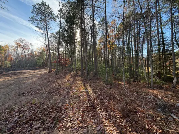 1.58 ac Madeline Ln, Eagle River, WI 54521