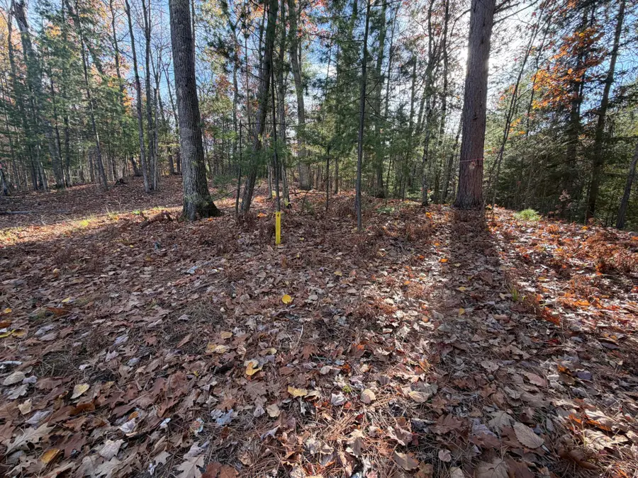 1.58 ac Madeline Ln, Eagle River, WI 54521 - #2