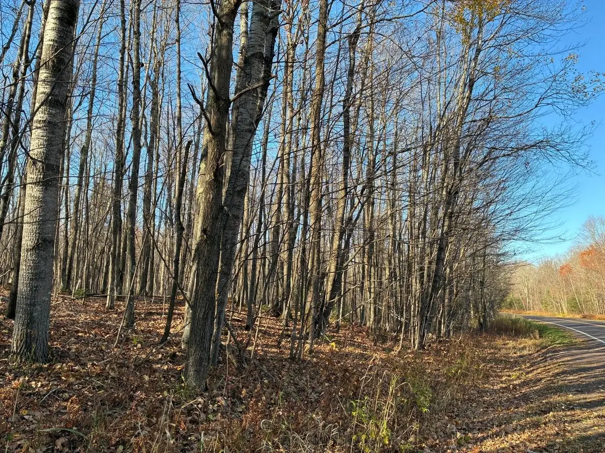 Off Cth E, Upson, WI 54565 - #1