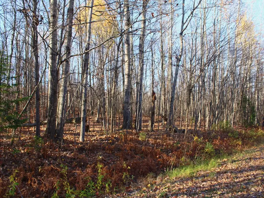 Off Cth E, Upson, WI 54565 - #3