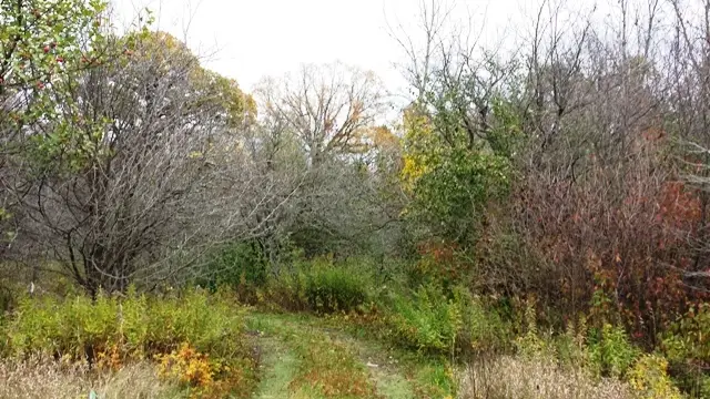 Lt99 N 18th St, Manitowoc, WI 54220 - Image #2