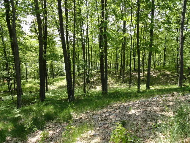 Lt18 Bear Lake Rd, Blackwell, WI 54566 - Image #2