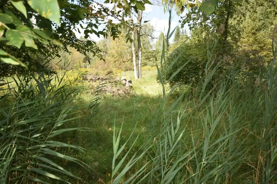 1650 Vivian Ct, Trenton, WI 53090 - Image #3