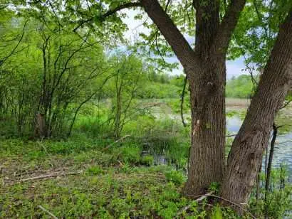 L16,17,18 Road L, Merton Town, WI 53066 - Image #2