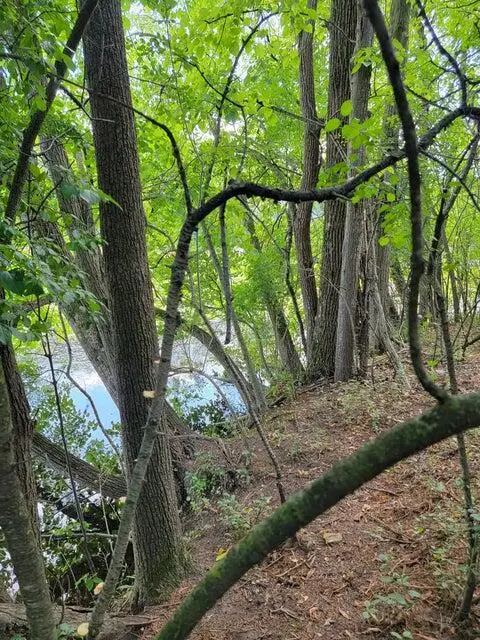 Lt1-3 Road L, Merton Town, WI 53066 - Image #2