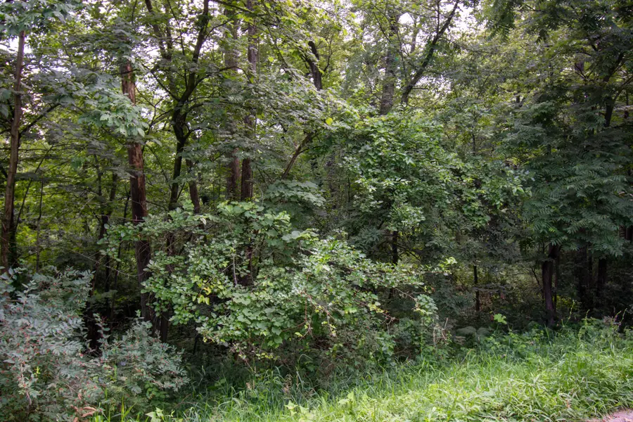 Lt15 Royal Glen Ct, Como, WI 53147 - Image #2