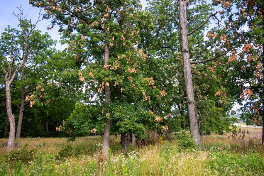 Lt20 Springfield Rd, Como, WI 53147 - Image #2