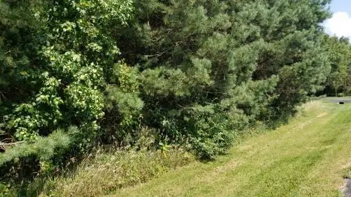 Lt2 Walnut Rd, Lisbon, WI 53089 - Image #2