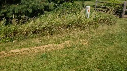 Lt2 Walnut Rd, Lisbon, WI 53089 - Image #3