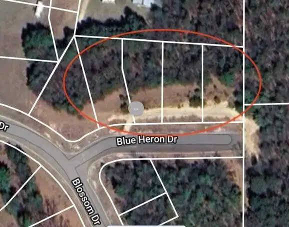 Lt1 Blue Heron Dr, Warrens, WI 54666