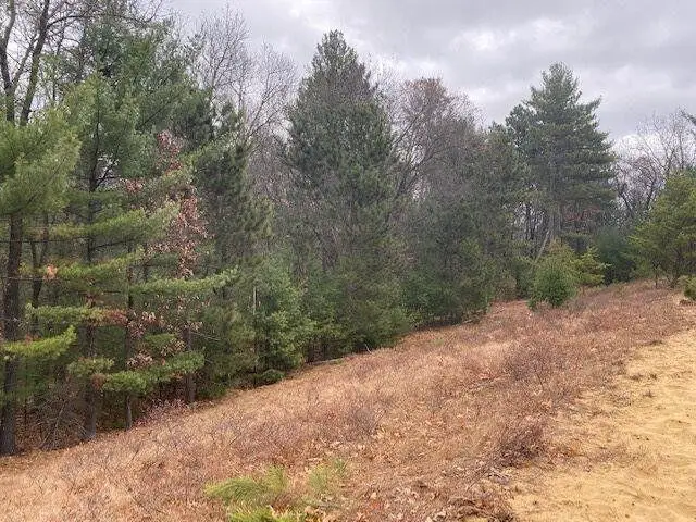 Lt1 Blue Heron Dr, Warrens, WI 54666 - Image #2