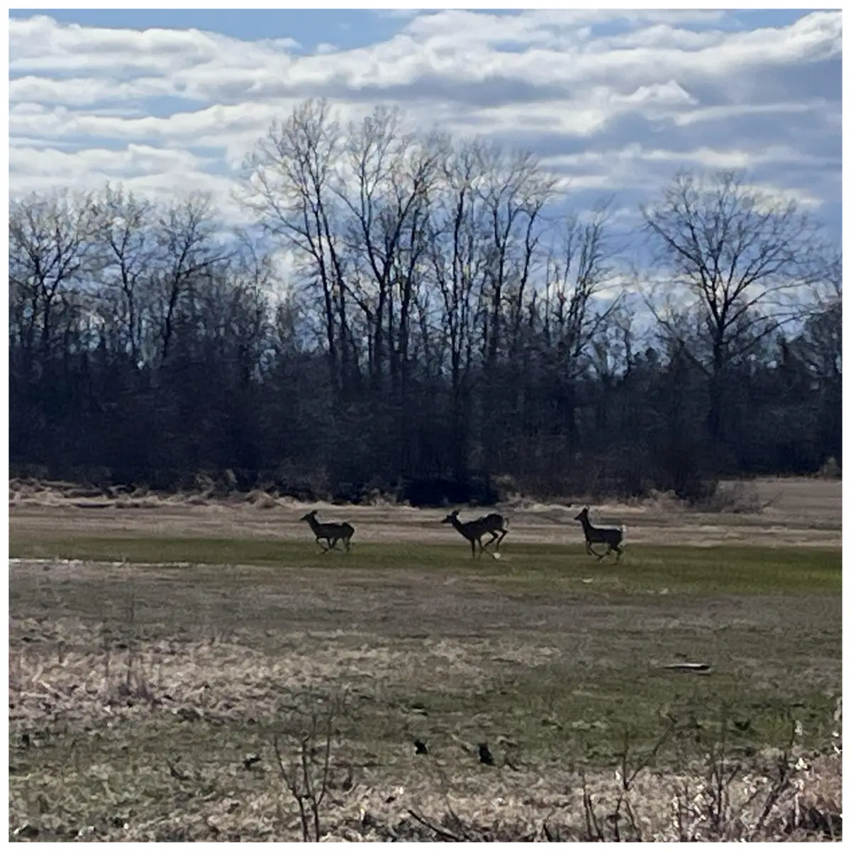 Lt3 Virginia Dr, Manitowoc, WI 54220 - Image #1