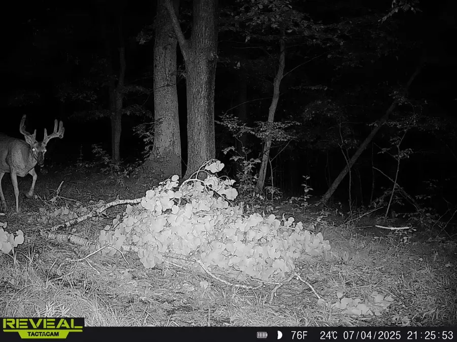 0 State Highway 14/county Rd T, Kickapoo, WI 54652 - Image #3