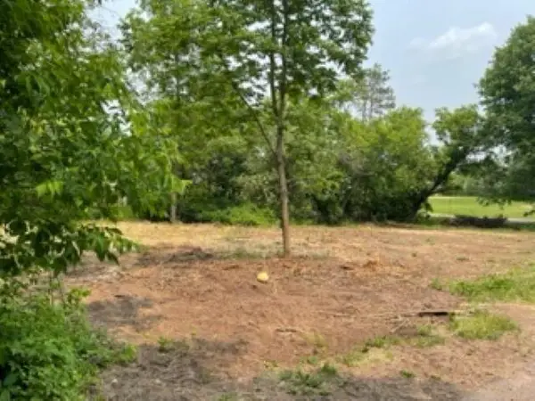 Lt9-12 Ridge St, Mountain, WI 54149