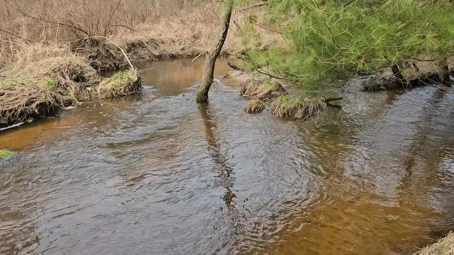 0 Elker Rd, Alma, WI 54754 - Image #3