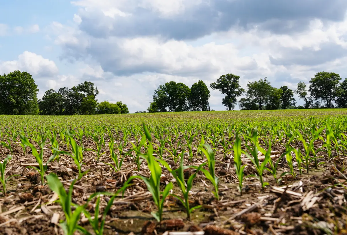 W11851 State Road 16 & 60, Elba, WI 53925 - Image #1