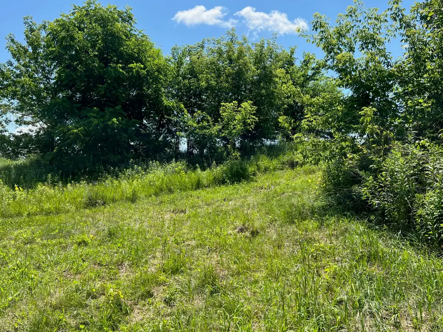 Lot 16 Skyview Ln, Eastman, WI 54626 - Image #2