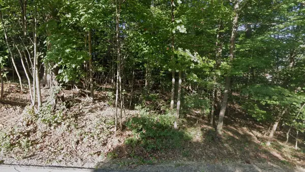 Lt17-18 Forest Dr, Geneva, WI 53147