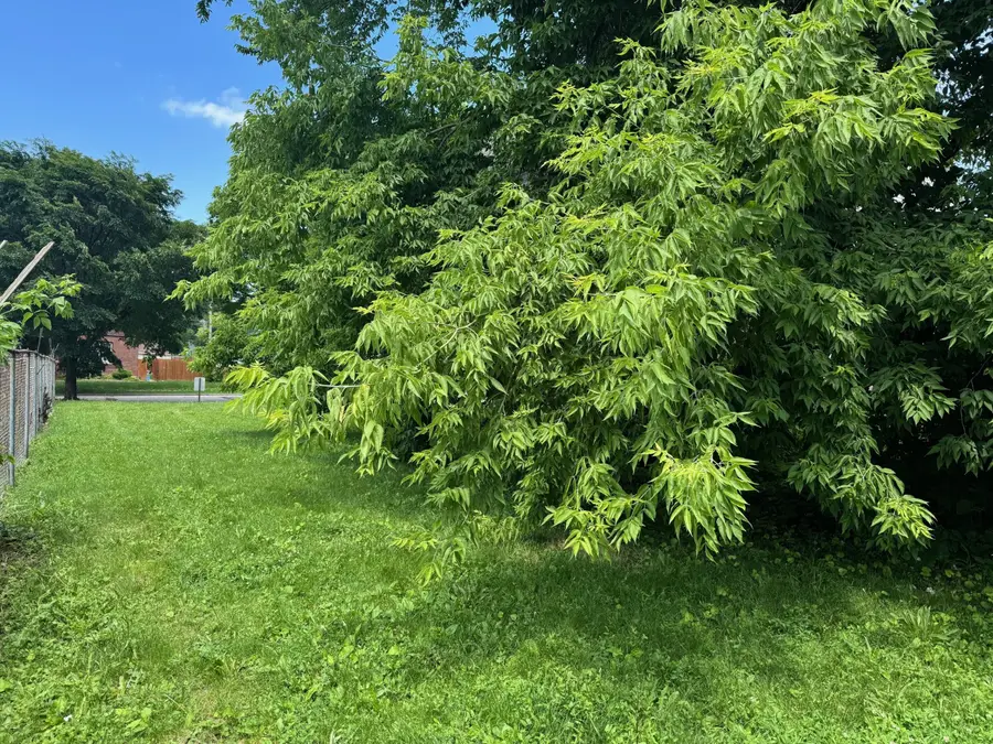 3121 W St Paul Ave, Milwaukee, WI 53208 - Image #3