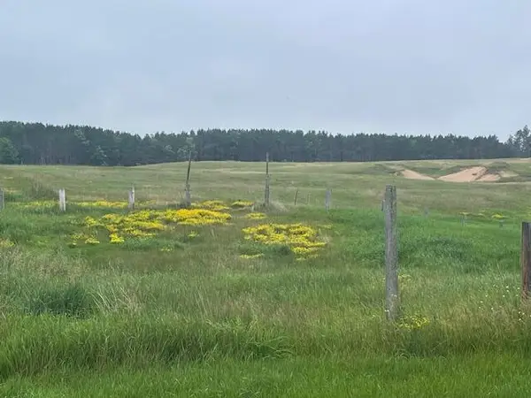 3881 County Highway H, Blackwell, WI 54541