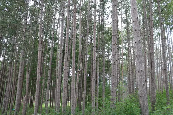 7855 Indian Lore Rd, Farmington, WI 53090