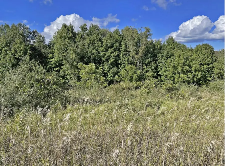 Lt354 Toboggan Ct, Woodland, WI 53941 - Image #3