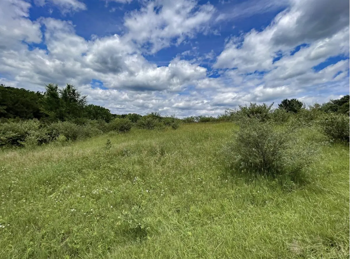 Lt180 Black Forest Dr, Woodland, WI 53941 - Image #1