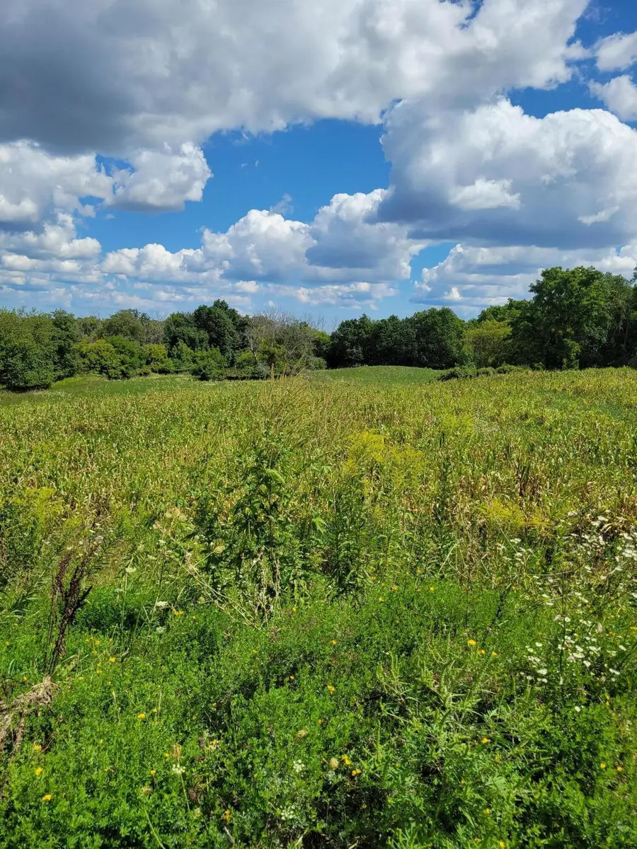 Lt0 Maple Ave, Sussex, WI 53089 - Image #2