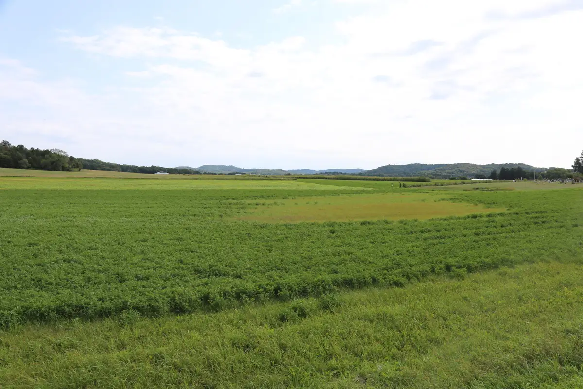 Lot 1 State Highway 27, Leon, WI 54656 - Image #1