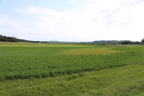 Lot 1 State Highway 27, Leon, WI 54656