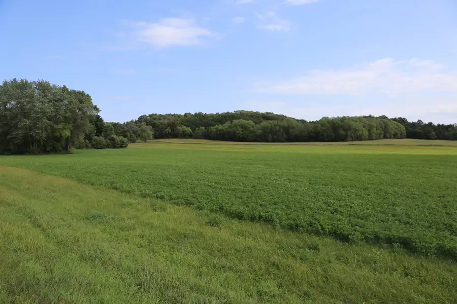 Lot 1 State Highway 27, Leon, WI 54656 - Image #3