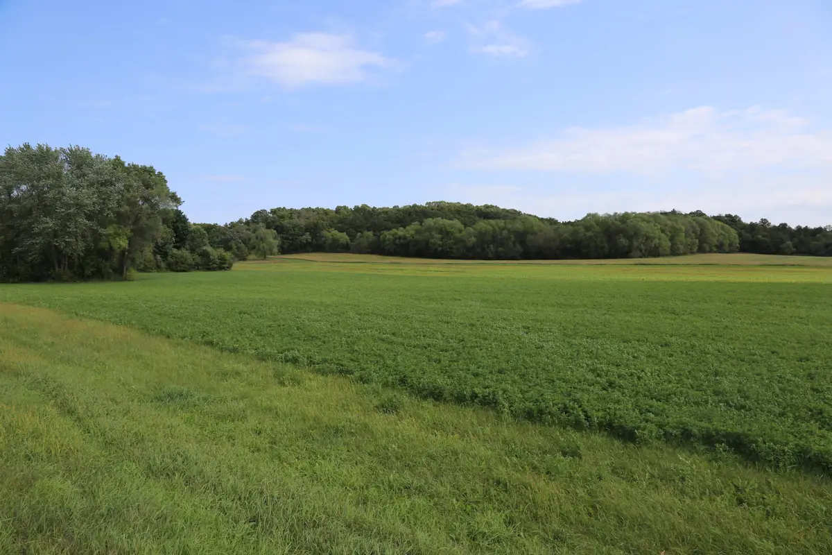 Lot 2 State Highway 27, Leon, WI 54656 - Image #1