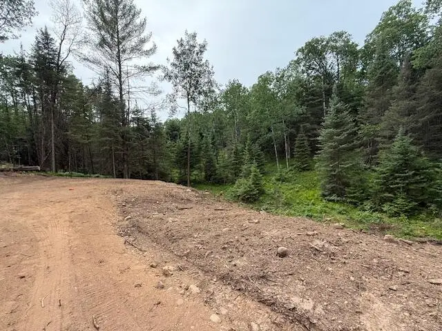 Pcl 41 PRT NW Sw, Star Lake, WI 54512 - Image #3