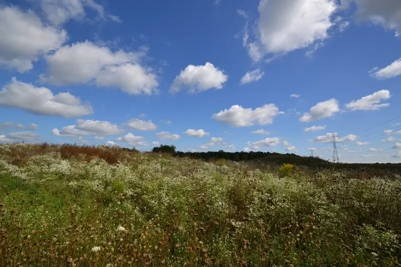 Lt3 Madyson Ct, Muskego, WI 53150 - Image #2